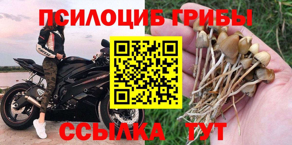 Галлюциногенные грибы ЛСД  Вход с VPN  Сосновый Бор 
