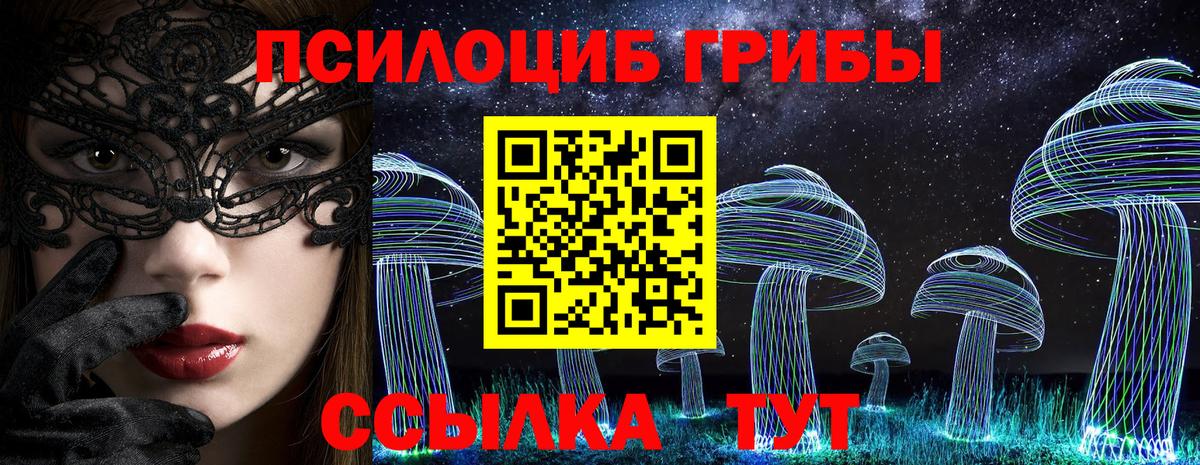 Галлюциногенные грибы ЛСД Сосновый Бор